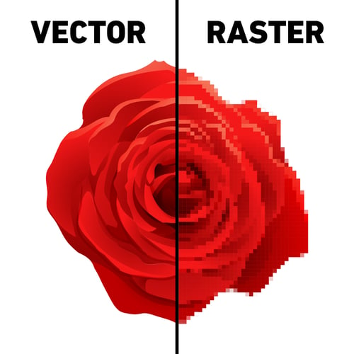 vectorVraster
